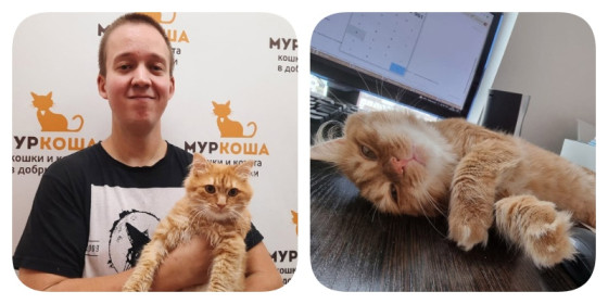 История Спанки, спасенного из Мариуполя