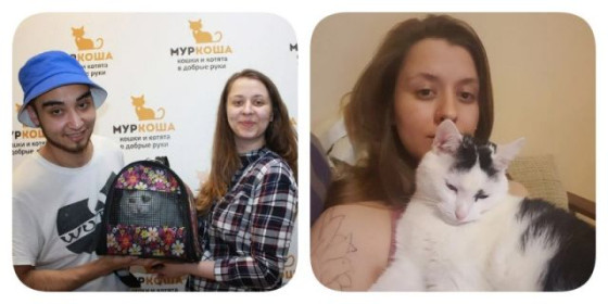Поступок: взять из приюта кота, клетку которого чистили в крагах