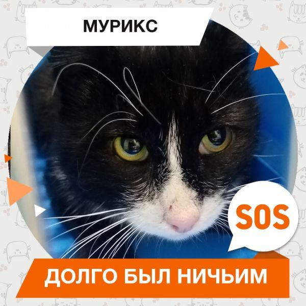 Долги!