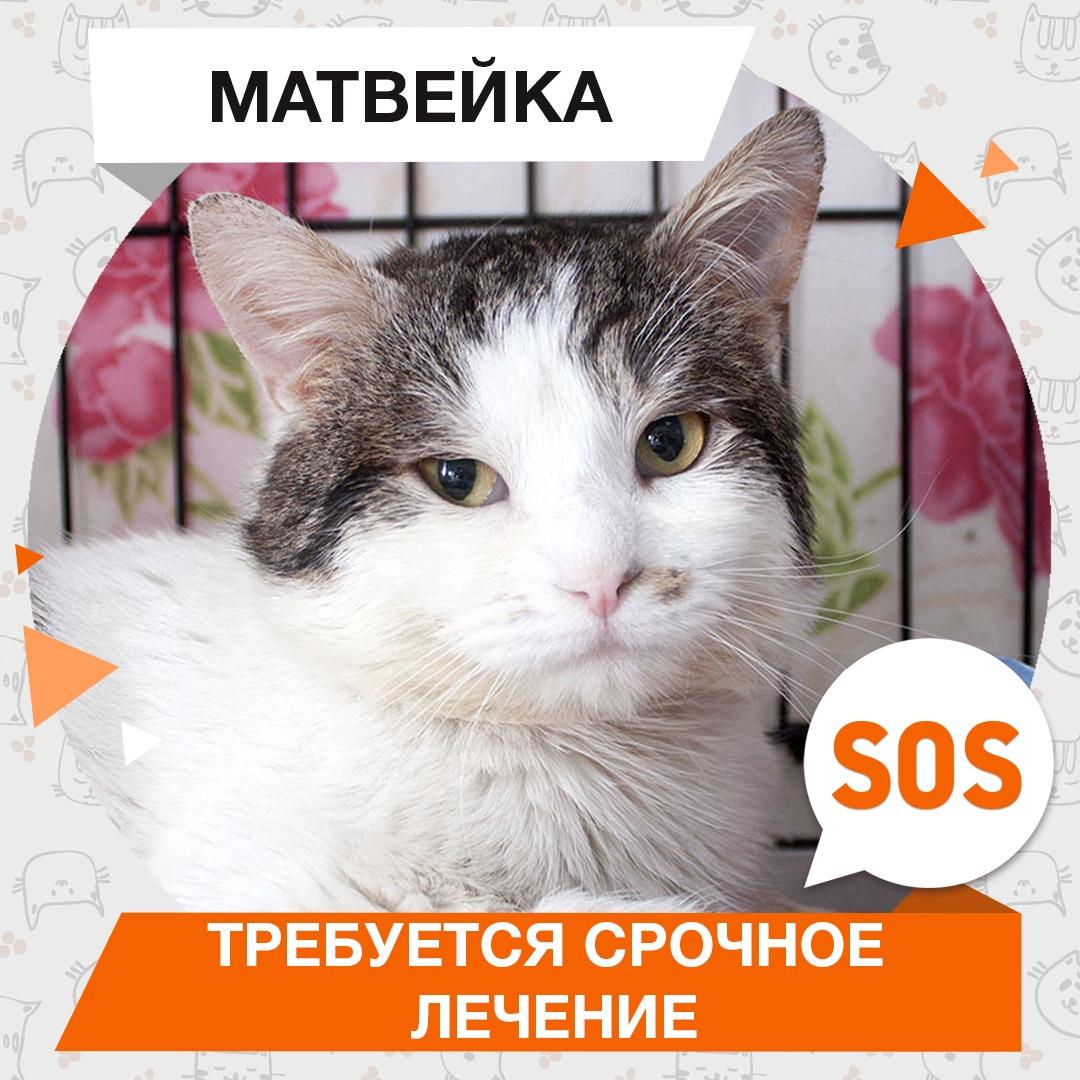 Матвейка