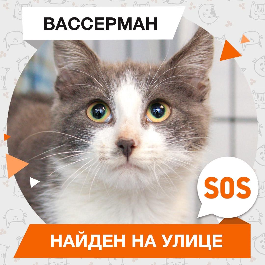 Вассерман
