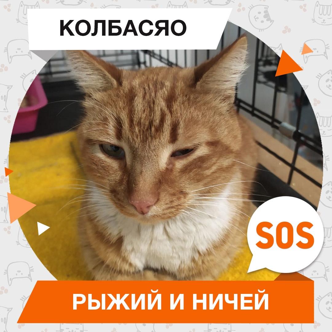 Колбасяо