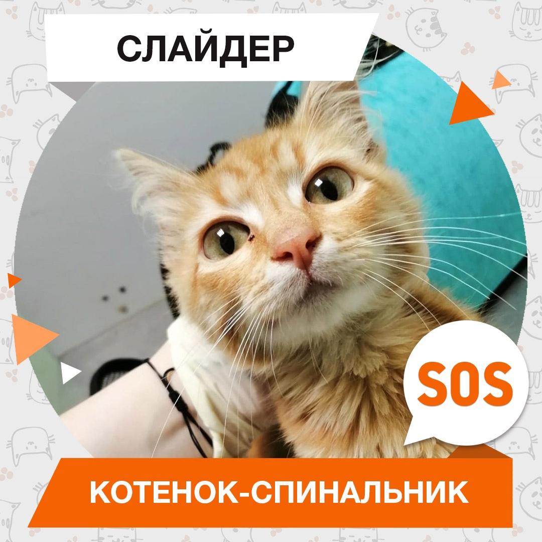 Слайдер