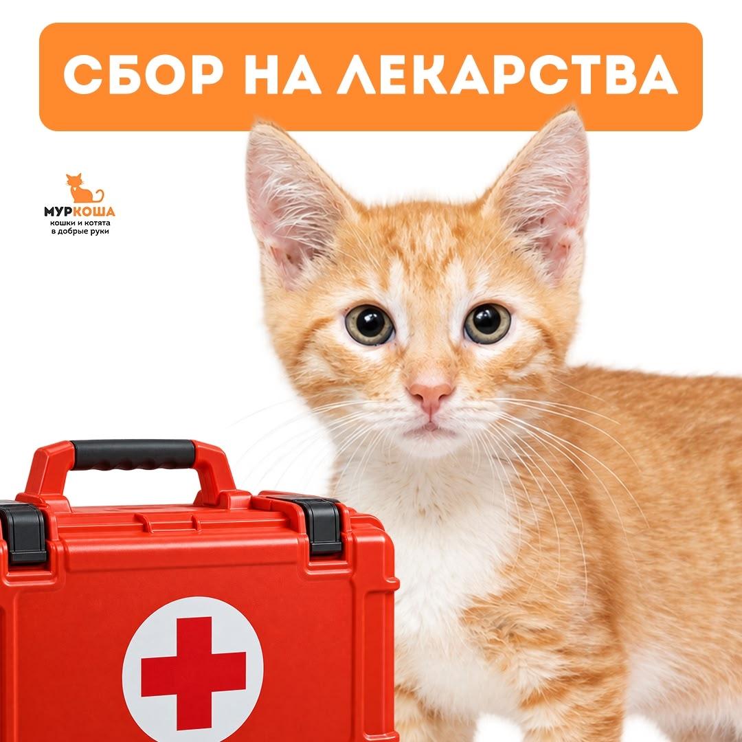 Лекарственные препараты