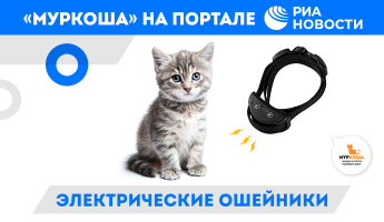 Электрические ошейники. "МУРКОША" на портале РИА Новости