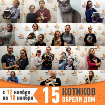 Итоги работы с 12 по 18 ноября