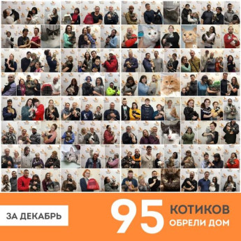 Итоги работы приюта за декабрь 2019