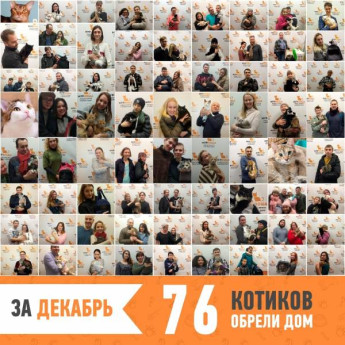 Итоги работы за декабрь 2018
