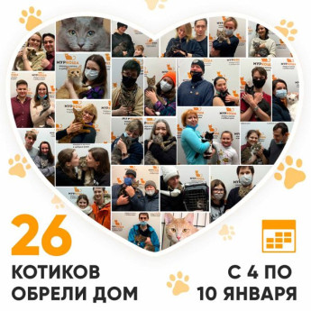 Итоги работы Adoption центра с 4 по 10 января 2021г.