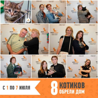 Итоги работы с 1 по 7 июля