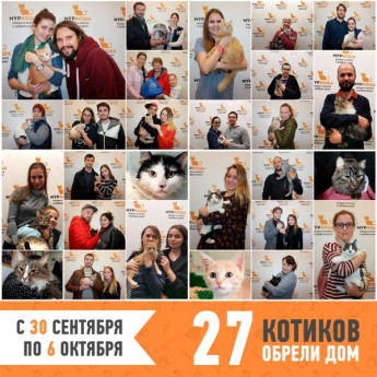 Итоги работы с 30 сентября по 6 октября