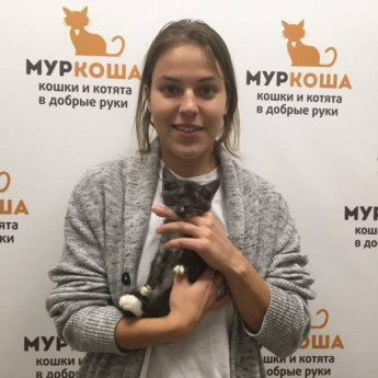 Итоги работы с 23 по 29 октября