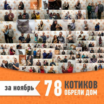 Итоги работы за ноябрь 2018