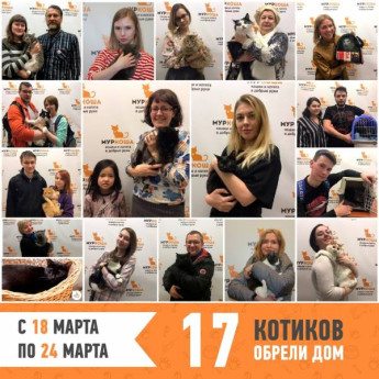 Итоги работы с 18 по 24 марта
