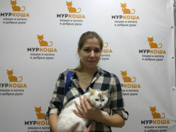Итоги работы  с 4 по 10 декабря 2017