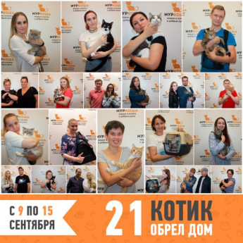 Итоги работы приюта с 9 по 15 сентября