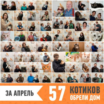 Итоги работы за апрель 2019