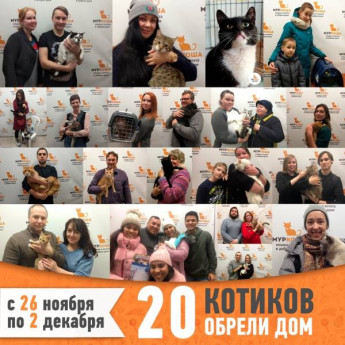Итоги работы с 26 ноября по 2 декабря