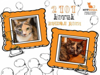 Итоги 2016
	  		  	
	  	
		  	
		  		Избранное