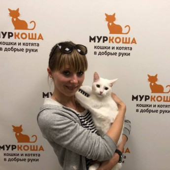 Итоги работы с 17 по 23 июля