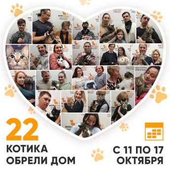 Итоги работы Adoption центра с 11 по 17 октября 2021г.