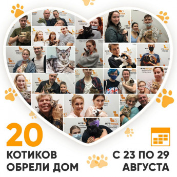 Итоги работы Adoption центра с 23 по 29 августа 2021г.