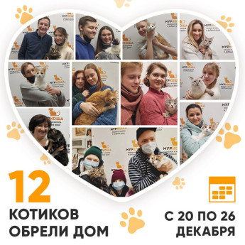 Итоги работы Adoption центра с 20 по 26 декабря 2021г. 