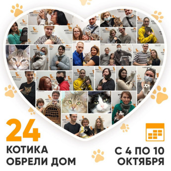 Итоги работы Adoption центра с 4 по 10 октября 2021г.