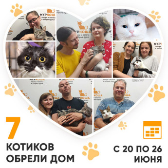 Итоги работы Adoption центра с 20 по 26 июня 2022г.