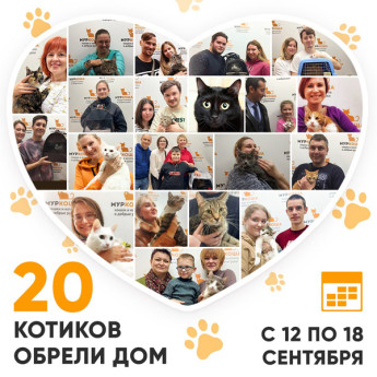 Итоги работы Adoption центра с 12 по 18 сентября 2022г.