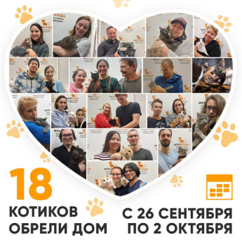 Итоги работы Adoption центра с 26 сентября по 2 октября 2022г.