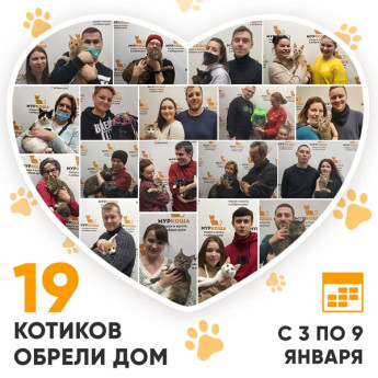 Итоги работы Adoption центра с 3 по 9 января 2022г.