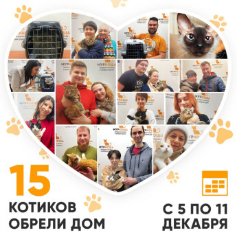 Итоги работы Adoption центра с 5 по 11 декабря 2022г. 