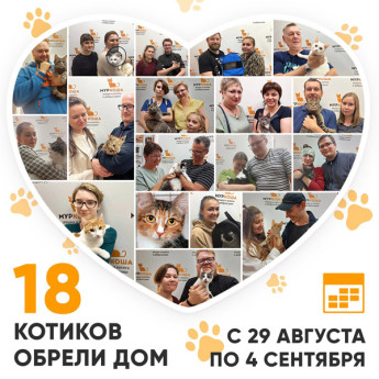 Итоги работы Adoption центра с 29 августа по 4 сентября 2022г.