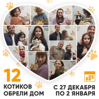Итоги работы Adoption центра с 27 декабря 2021г. по 2 января 2022г.