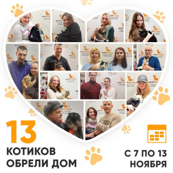 Итоги работы Adoption центра с 7 по 13 ноября 2022г. 