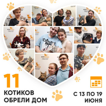 Итоги работы нашего Adoption центра с 13 по 19 июня 2022г.