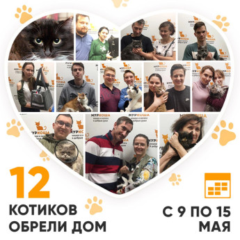 Итоги работы Adoption центра со 9 по 15 мая 2022г.
