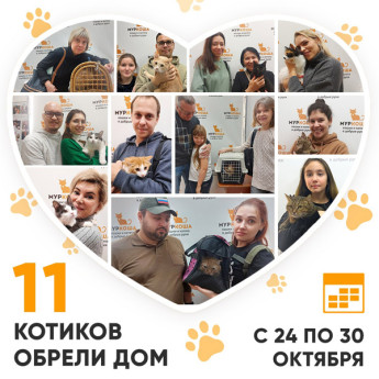 Итоги работы нашего Adoption центра с 24 по 30 октября 2022г.