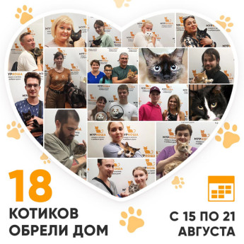 Итоги работы Adoption центра с 15 по 21 августа 2022г. 