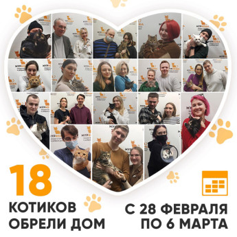 Итоги работы Adoption центра с 28 февраля по 6 марта 2022г.