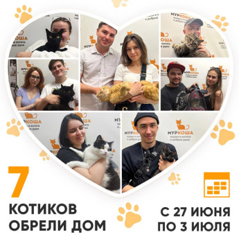 Итоги работы Adoption центра с 27 июня по 3 июля 2022г. 