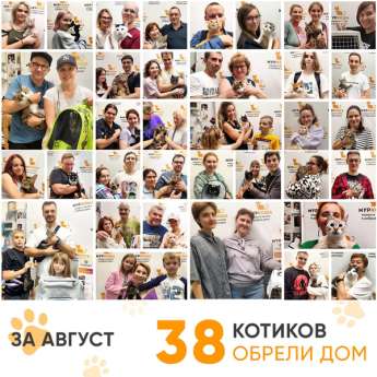 Итоги работы Adoption центра в августе 2023 года.
