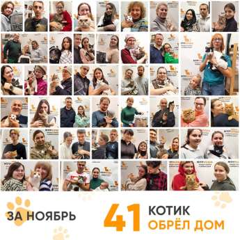 Итоги работы Центра в ноябре 2023 года.