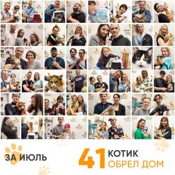 Итоги работы Adoption центра в июле 2023 года.