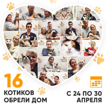 Итоги работы Adoption центра с 24 по 30 апреля 2023г.