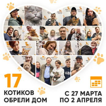 Итоги работы Adoption центра с 27 марта по 2 апреля 2023г.