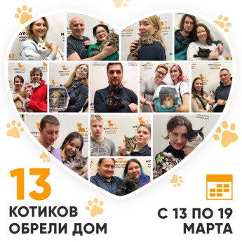Итоги работы Adoption центра с 13 по 19 марта 2023г.