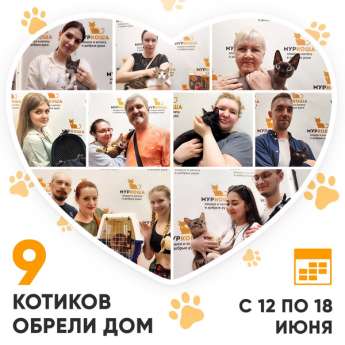 Итоги работы Adoption центра с 12 по 18 июня 2023г.