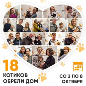 Итоги работы Центра со 2 по 8 октября 2023г.
